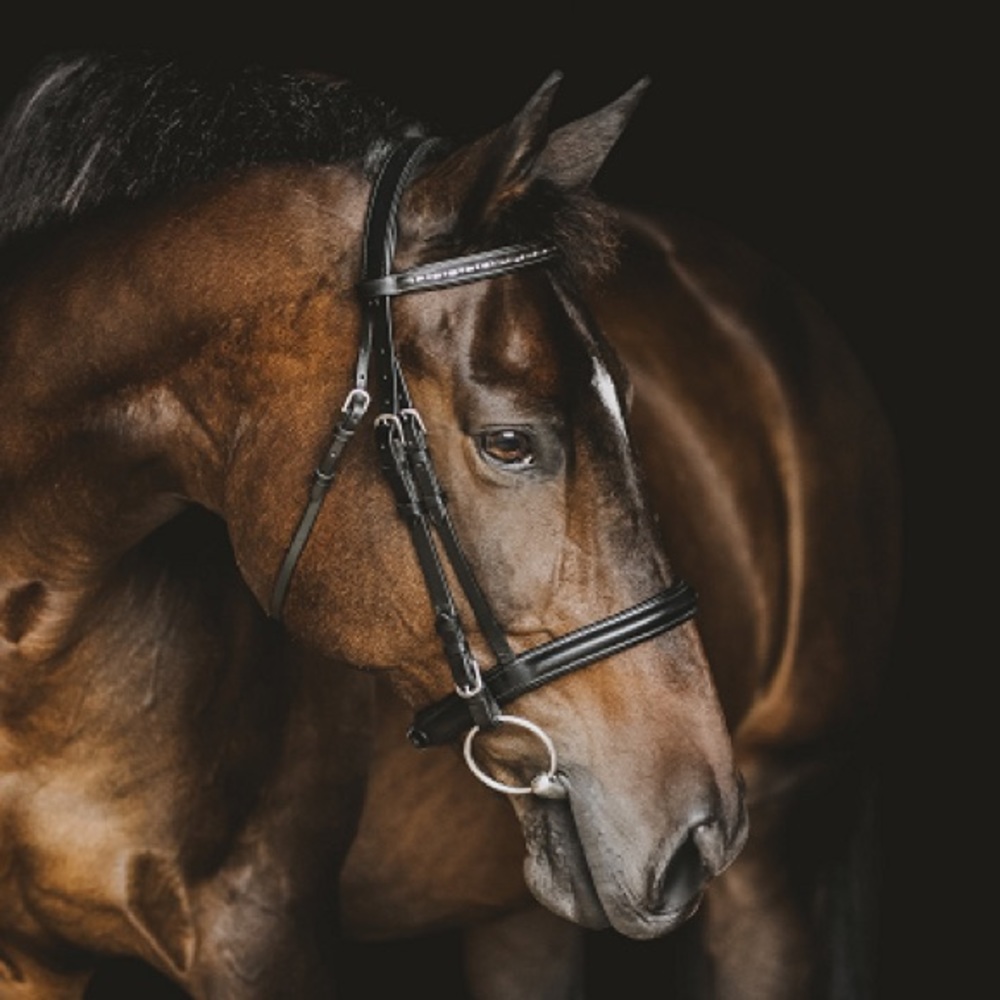 Meet your Posher, Lesley